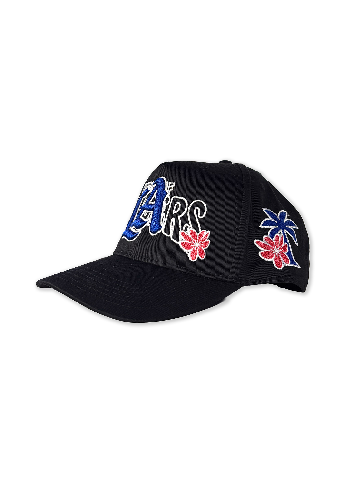 PANTONE x HOF BLACK SNAPBACK